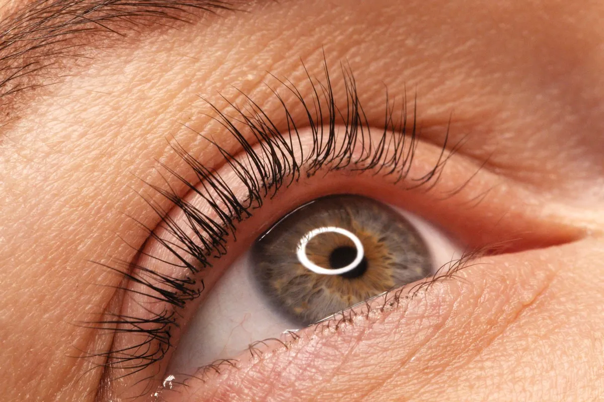 Lash lift results